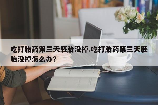 米非米索购买吃打胎药第三天胚胎没掉.吃打胎药第三天胚胎没掉怎么办？