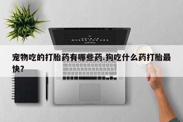 米非米索购买宠物吃的打胎药有哪些药.狗吃什么药打胎最快？