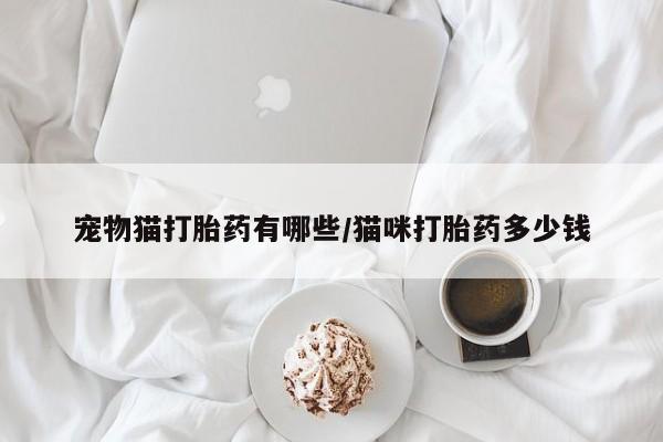 米非米索购买宠物猫打胎药有哪些/猫咪打胎药多少钱
